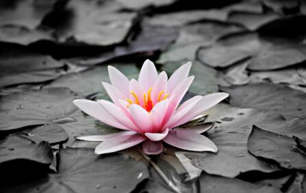 5 Signs of Cognitive Decline in Seniors